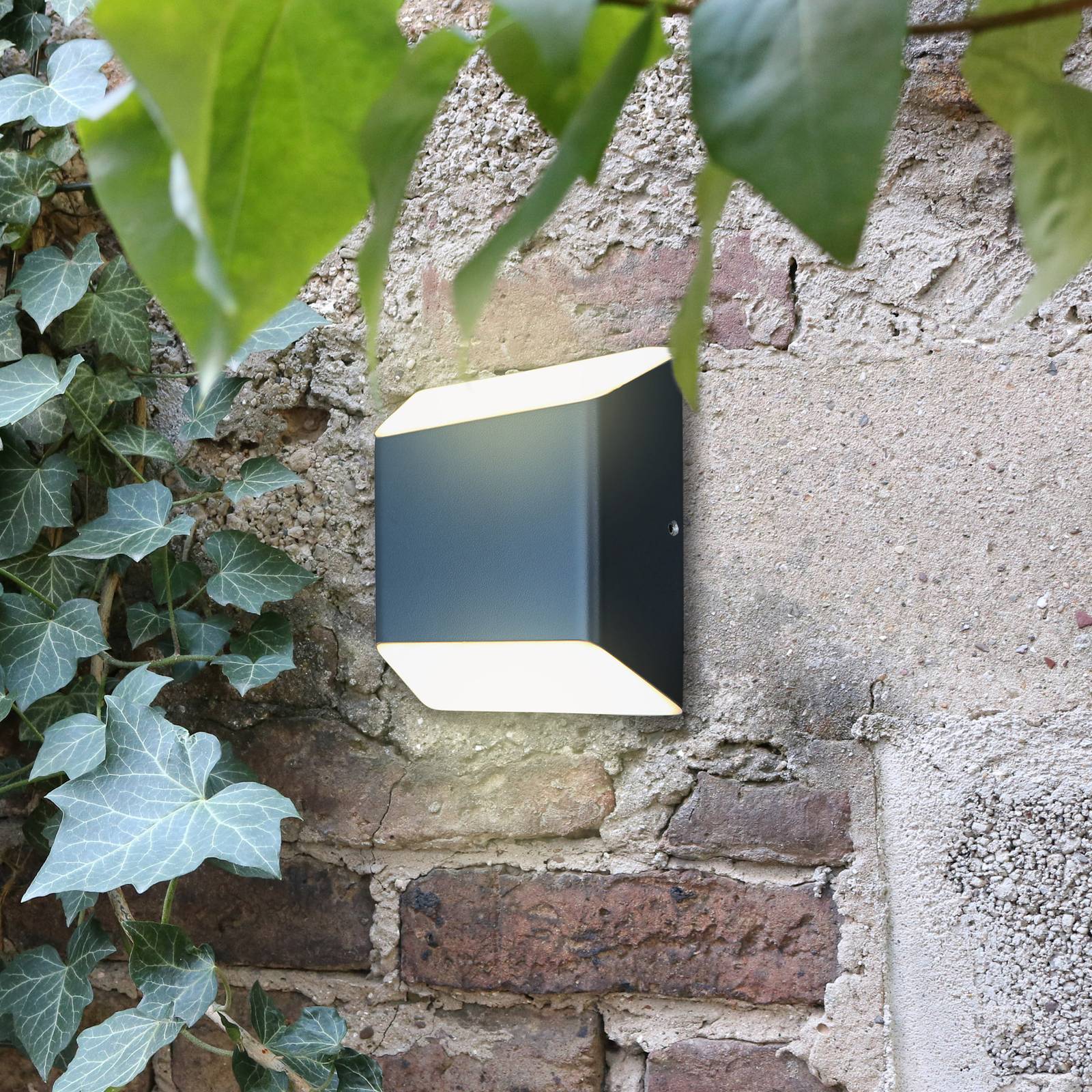LED-Außenwandleuchte Floyd Up-/Downlight anthrazit LED-Außenwandleuchte Floyd Up-/Downlight anthrazit von Eco-Light