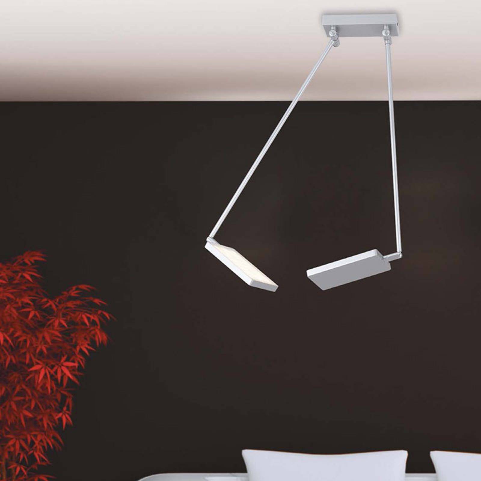 LED-Deckenleuchte Book, grau LED-Deckenleuchte Book, grau von Eco-Light