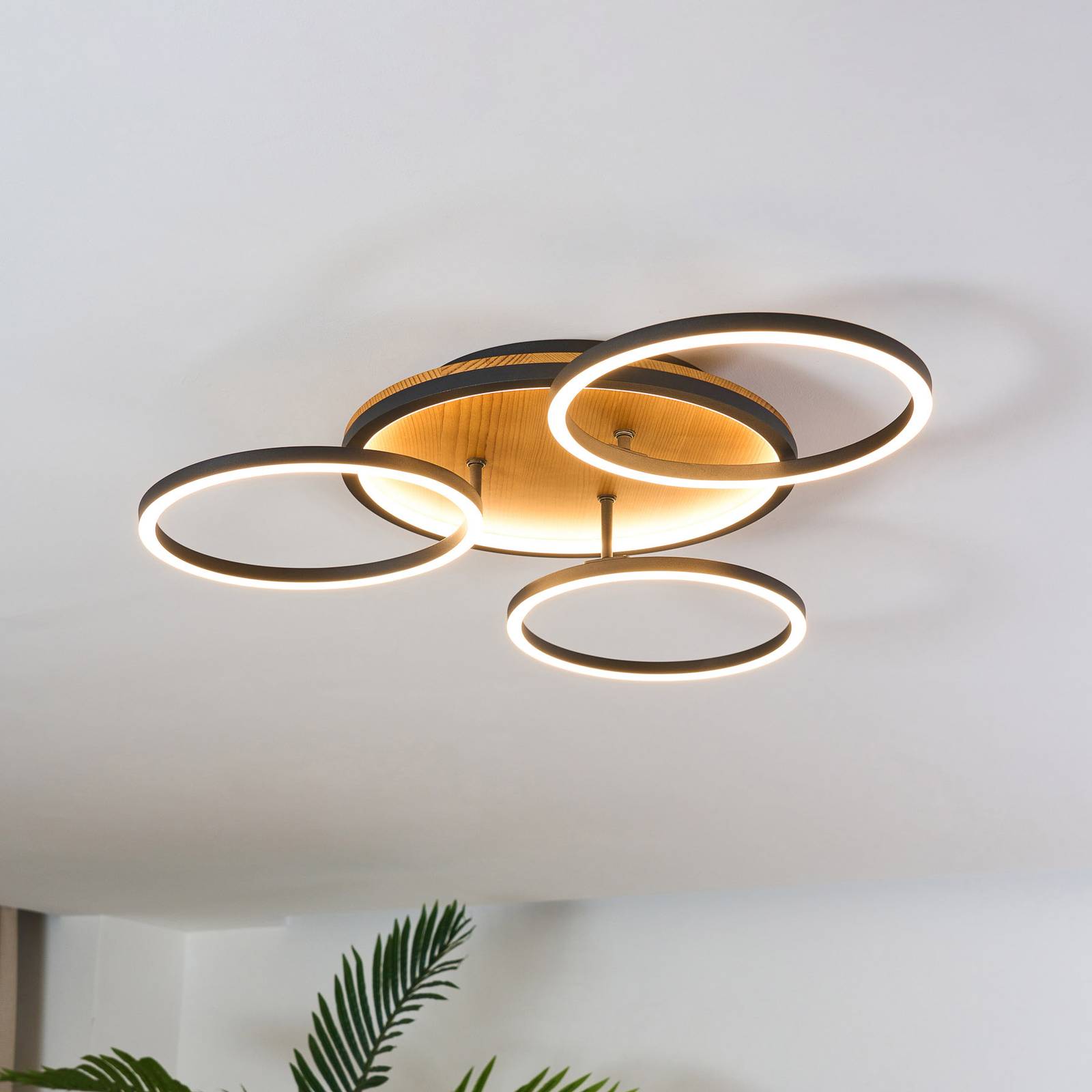 LED-Deckenleuchte Kiru, pinie, Länge 60,8 cm, 3-flg., Holz LED-Deckenleuchte Kiru, pinie, Länge 60,8 cm, 3-flg., Holz von Eco-Light