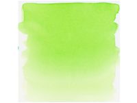 Ecoline Liquid Watercolour Bottle Light Green 601 von Ecoline