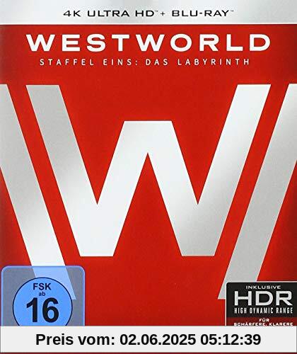 Westworld - Die komplette 1. Staffel  (3 Blu-rays 4K Ultra HD) (+ 3 Blu-rays 2D) von Ed Harris
