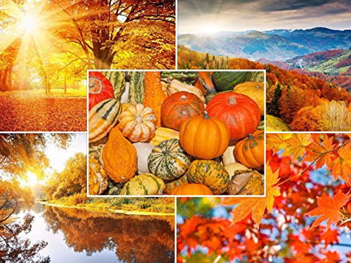 Edition Colibri HERBST-LANDSCHAFTEN: 20-er Postkarten-Set (5 Motive x 4 St.) für Postcrossing und Vielschreiber (10695-99) von Edition Colibri