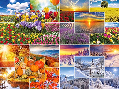 Edition Colibri VIER JAHRESZEITEN: 20-er Postkarten-Set Natur/Landschaften (20 verschiedene Motive) im Frühling, Sommer, Herbst und Winter von Edition Colibri