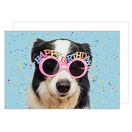 Edition Seidel Premium Geburtstagskarte mit Umschlag. Glückwunschkarte Billet Happy Birthday Grusskarte Mann Frau Tierkarte Hund Brille Humor lustig (G3419 SW023) von Edition Seidel