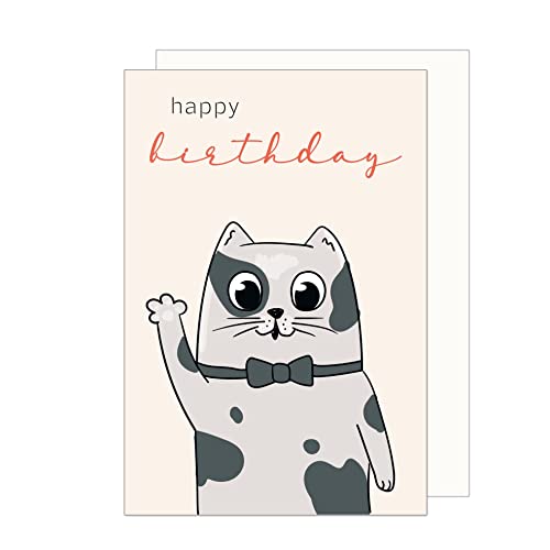 Edition Seidel Premium Geburtstagskarte mit Umschlag. Glückwunschkarte Billet Happy Birthday Humor Lustig cool Mann Junge Teenager Kids Katze Fliege (G3466 SW023) von Edition Seidel