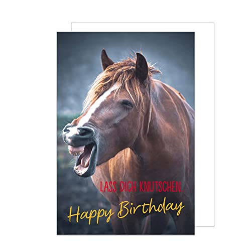 Edition Seidel Premium Geburtstagskarte mit Umschlag. Glückwunschkarte Grusskarte Billet Geburtstag Happy Birthday Mann Frau Kind Junge Mädchen Sprüche Karte Pferd Pony Humor (G3324 SW022) von Edition Seidel