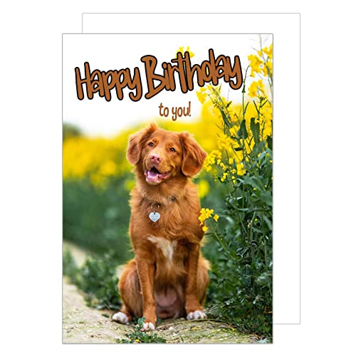 Edition Seidel Premium Geburtstagskarte mit Umschlag. Glückwunschkarte Grusskarte Billet Geburtstag Happy Birthday to you Mann Frau Hund Karte (G3304 SW023) von Edition Seidel