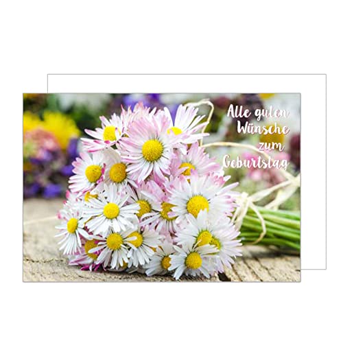 Edition Seidel Premium Geburtstagskarte mit Umschlag. Glückwunschkarte Grusskarte Billet Karte Happy Birthday Mann Frau Alle guten Wünsche Blumenstrauß Gänseblümchen (G3152 SW023) von Edition Seidel