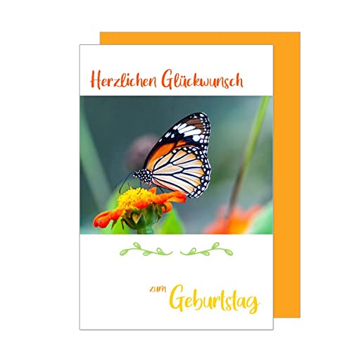 Edition Seidel Premium Geburtstagskarte mit Umschlag. Glückwunschkarte Grusskarte Billet Karte Happy Birthday Mann Frau Kind Herzlichen Glückwunsch Schmetterling Blume (G3130 SW023) von Edition Seidel