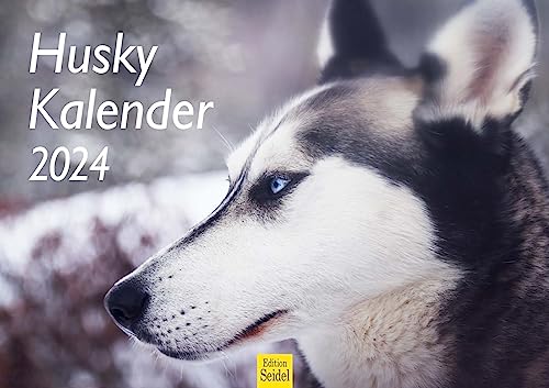 Edition Seidel Premium Kalender Husky 2024 Format DIN A3 Wandkalender Hundekalender Weltweit Huskys Hund Welpe Hunderasse Haustier von Edition Seidel