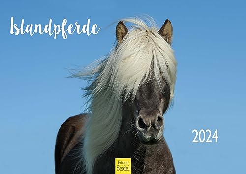 Edition Seidel Premium Kalender Islandpferde 2024 DIN A3 Wandkalender Pferdekalender Pony Isländer Islandpony Pferde Island Skandinavien von Edition Seidel