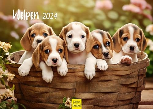 Edition Seidel Premium Kalender Welpen 2024 Format DIN A3 Wandkalender Hundekalender Hund Welpe Hunderasse Haustier von Edition Seidel