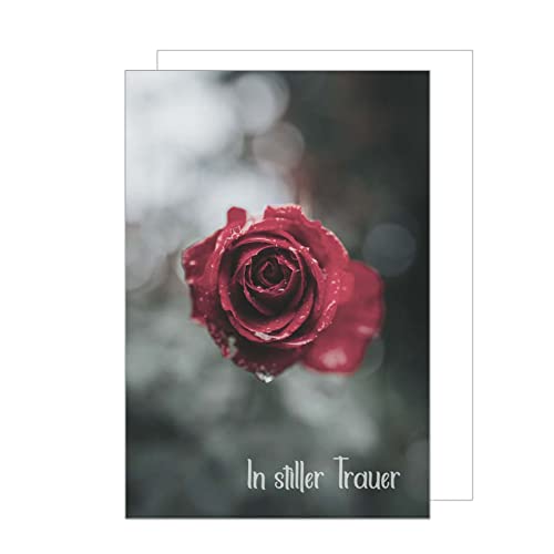 Edition Seidel Premium Trauerkarte mit Umschlag. Beileidskarte Trauer Karte In stiller Trauer rote Rose Regentropfen herzliches Beileid Abschied Teilnahme Mitgefühl (T1019 SW023) von Edition Seidel