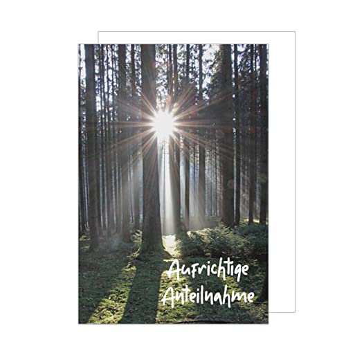 Edition Seidel Premium Trauerkarte mit Umschlag. Beileidskarte Trauer Karte aufrichtige Anteilnahme Wald Sonnenstrahlen herzliches Beileid Abschied Teilnahme Mitgefühl (T982 SW023) von Edition Seidel