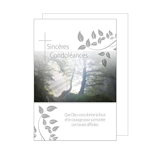 Edition Seidel Premium Trauerkarte mit Umschlag. Beileidskarte mit Spruch Nebel Wald Lichtung sincères Condoléances Abschied Teilnahme Mitgefühl (T1127 SW023) von Edition Seidel