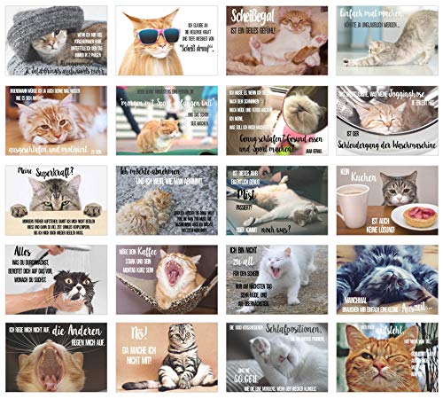 Edition Seidel Set 20 Katzen Postkarten mit lustigen Sprüchen - Karten mit Spruch - verrückte Katzen - Geburtstag - Motivation (20 Karten) von Edition Seidel