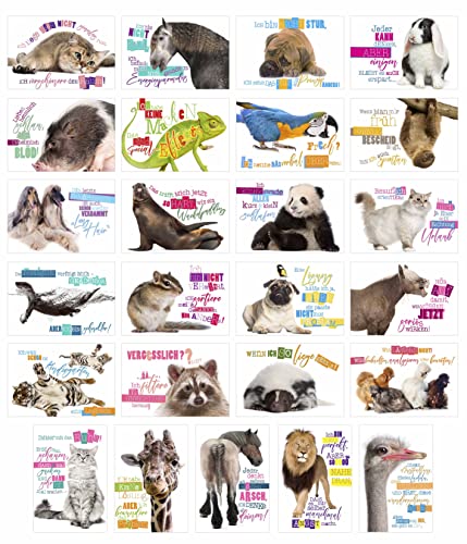 Edition Seidel Set 25 Postkarten lustige Tiere mit Sprüchen Karten mit Spruch Hund Katze Pferd coole Sprüche lustig Geburtstagskarten Postkarte von Edition Seidel