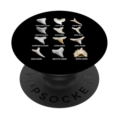 12 Arten von Haifischzähnen Pädagogische Biologie-Tabelle PopSockets Klebender PopGrip von Educational Science Ideas