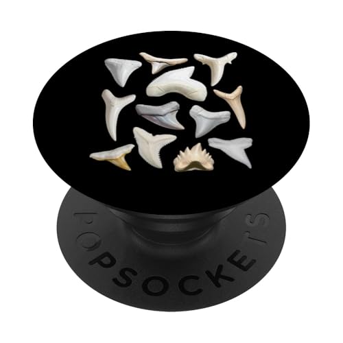 12 Arten von Haifischzähnen Pädagogische Biologie-Tabelle PopSockets Klebender PopGrip von Educational Science Ideas