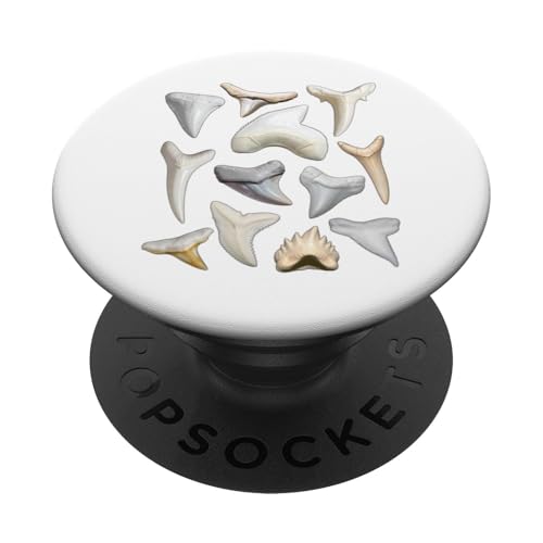 12 Arten von Haifischzähnen Pädagogische Biologie-Tabelle PopSockets Klebender PopGrip von Educational Science Ideas