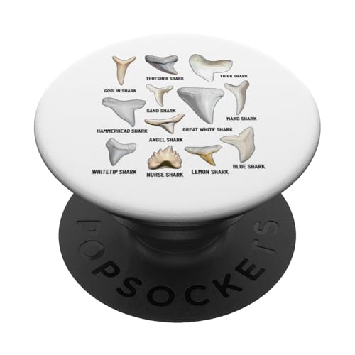 12 Arten von Haifischzähnen Pädagogische Biologie-Tabelle PopSockets Klebender PopGrip von Educational Science Ideas