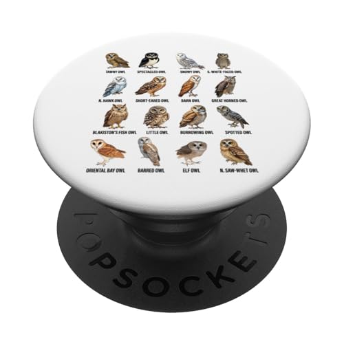 Arten von Eulen Ornithologie Eulenarten Identifikationstabelle PopSockets Klebender PopGrip Arten von Eulen Ornithologie Eulenarten Identifikationstabelle PopSockets Klebender PopGrip von Educational Science Ideas