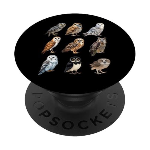 Arten von Eulen Ornithologie Eulenarten Identifikationstabelle PopSockets Klebender PopGrip Arten von Eulen Ornithologie Eulenarten Identifikationstabelle PopSockets Klebender PopGrip von Educational Science Ideas