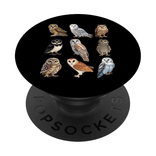Arten von Eulen Ornithologie Eulenarten Identifikationstabelle PopSockets Klebender PopGrip Arten von Eulen Ornithologie Eulenarten Identifikationstabelle PopSockets Klebender PopGrip von Educational Science Ideas