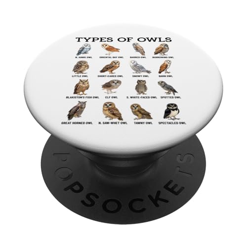 Arten von Eulen Ornithologie Eulenarten Identifikationstabelle PopSockets Klebender PopGrip Arten von Eulen Ornithologie Eulenarten Identifikationstabelle PopSockets Klebender PopGrip von Educational Science Ideas