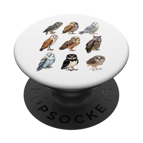 Arten von Eulen Ornithologie Eulenarten Identifikationstabelle PopSockets Klebender PopGrip Arten von Eulen Ornithologie Eulenarten Identifikationstabelle PopSockets Klebender PopGrip von Educational Science Ideas