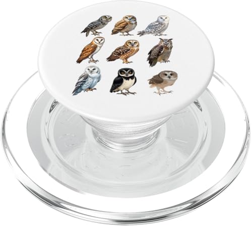 Arten von Eulen Ornithologie Eulenarten Identifikationstabelle PopSockets PopGrip für MagSafe von Educational Science Ideas