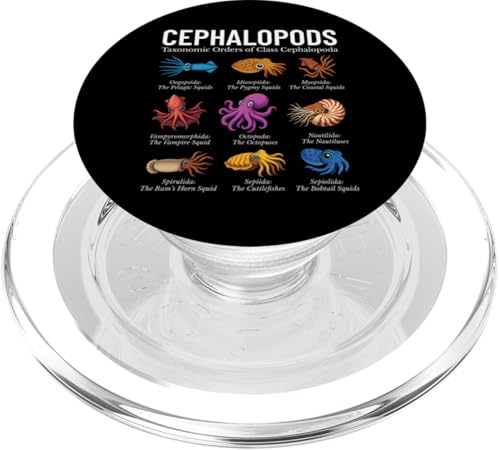 Kopffüßerorden der Klasse Kephalopode Scientific PopSockets PopGrip für MagSafe Kopffüßerorden der Klasse Kephalopode Scientific PopSockets PopGrip für MagSafe von Educational Science Ideas