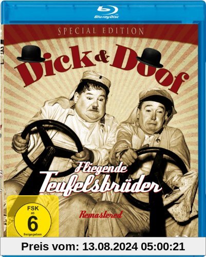 Dick & Doof - Fliegende Teufelsbrüder [Blu-ray] [Special Edition] von Edward Sutherland