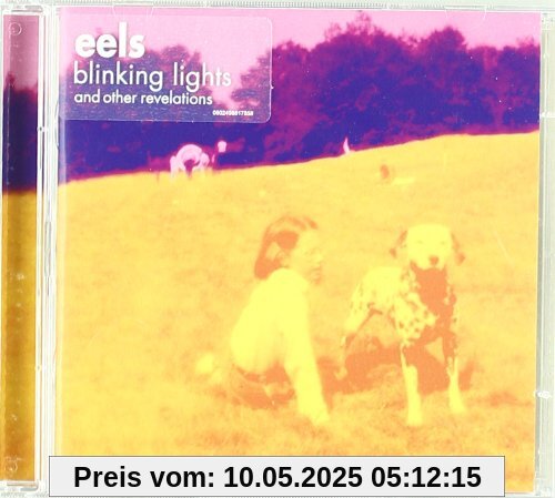 Blinking Lights and Other Revelations von Eels
