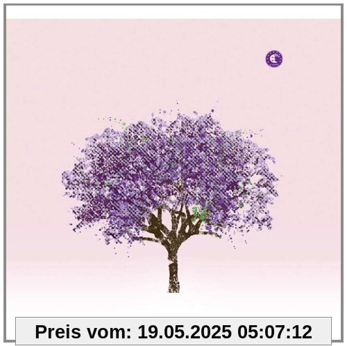Tomorrow Morning von Eels