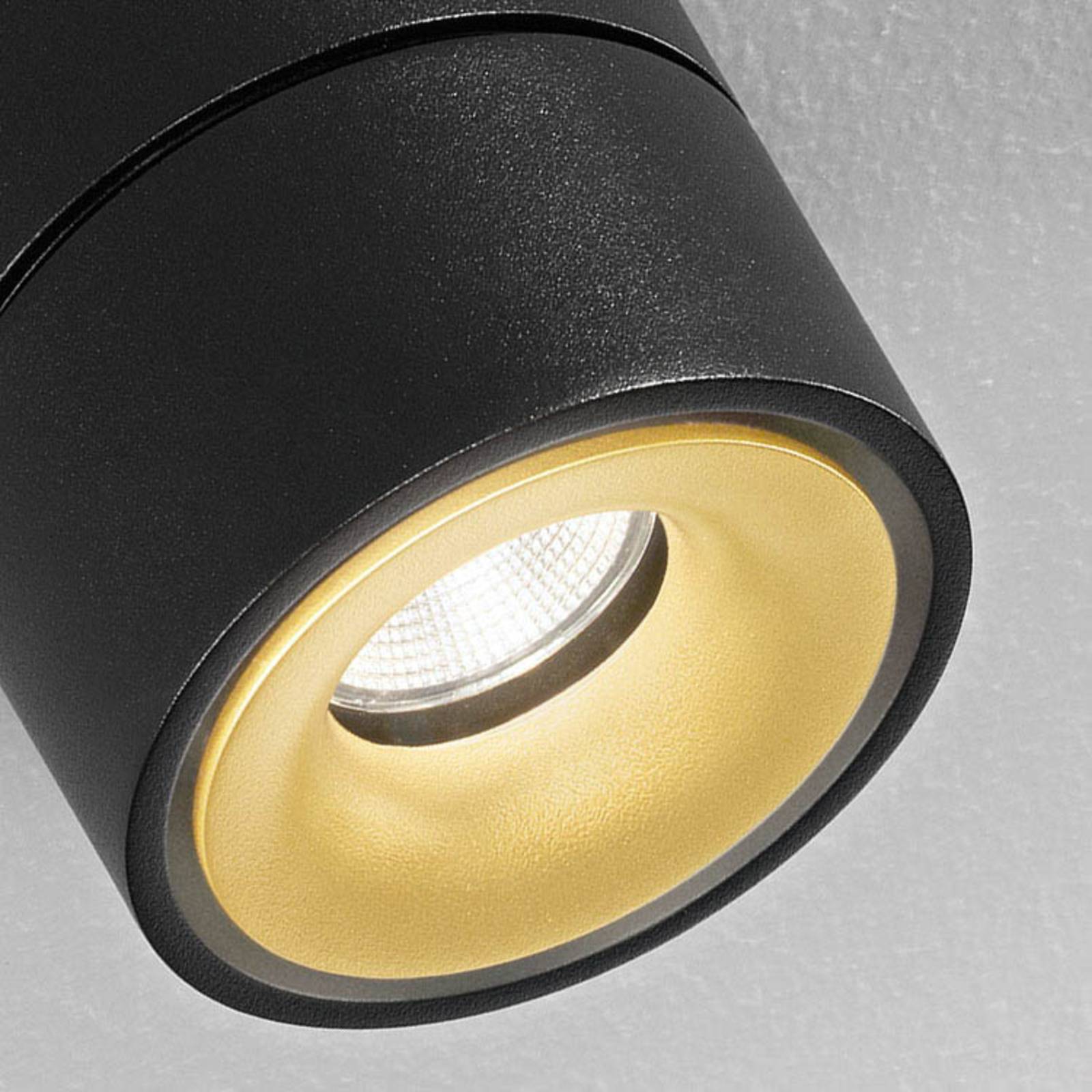 Egger Clippo Duo LED-Spot, schwarz-gold, 2.700K von Egger Licht