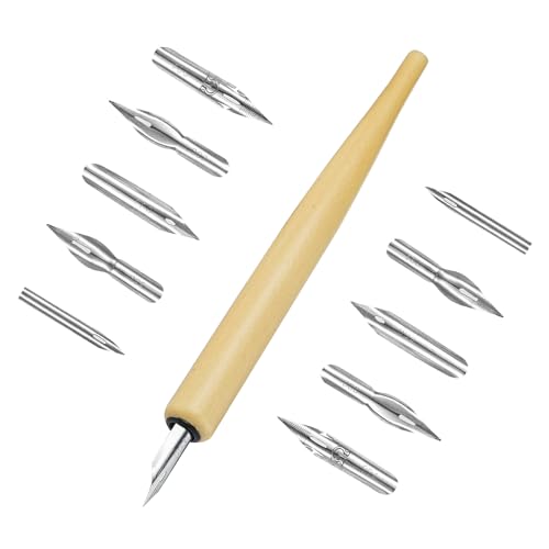 11 Pcs Federhalter und Halter Set,Kalligraphie Stift Set mit 10 Federn 1 Federhalter,Comic Stifthalter Zeichnung Federhalter mit Zeichenfeder für Comics,Manga Zeichenfeder für Cartoonisten Künstler von Ehuihuan