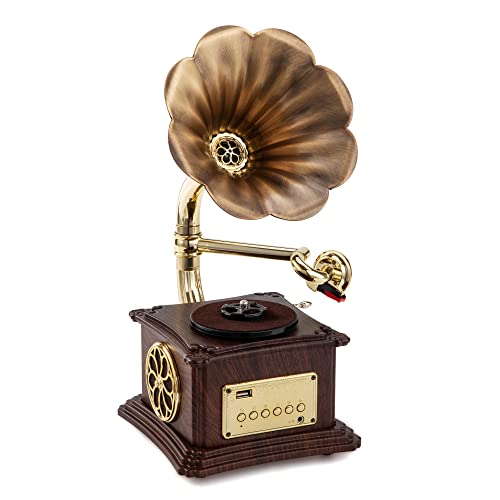 Mini-Grammophon, kann Schallplatten abspielen, eingebauter Lautsprecher, 2 Geschwindigkeiten (33/45), Bluetooth-Verbindung, FM-Radio, Lautsprecher aus reinem Kupfer, exquisit und kompakt von Eikosch