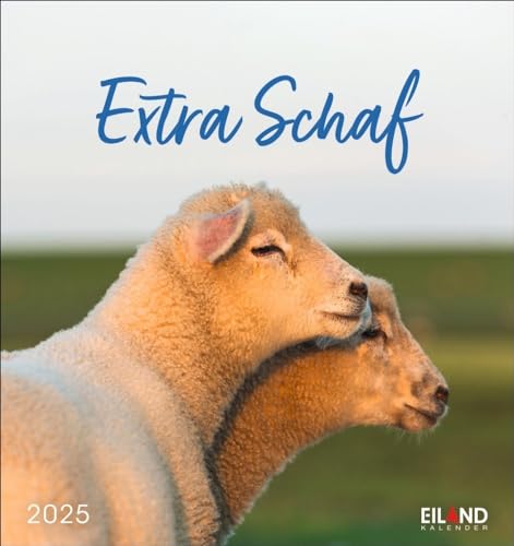 Extra Schaf Postkartenkalender 2025: Ein kleiner Kalender zum Aufstellen und Aufhängen. Süße Schafe in allen Lebenslagen in einem Postkarten-Fotokalender. (Postkartenkalender Eiland) von Eiland