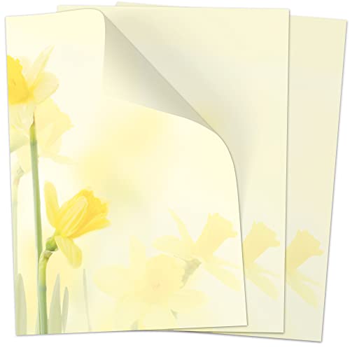 50 Blatt Briefpapier (A4) | Frühling gelb Osterglocke | Motivpapier | edles Design Papier | beidseitig bedruckt | Osternpapier Motiv Ostern | 90 g/m² von Einladungskarten Manufaktur Hamburg
