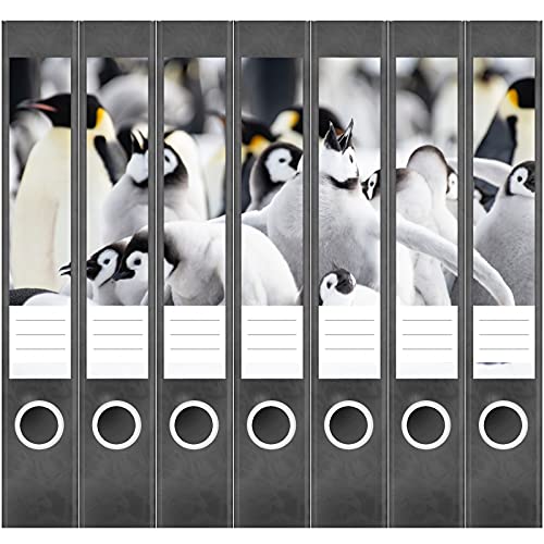 Etiketten für Ordner | Pinguine | 7 Aufkleber für schmale Ordnerrücken | Selbstklebende Design Ordneretiketten Rückenschilder von Einladungskarten Manufaktur Hamburg
