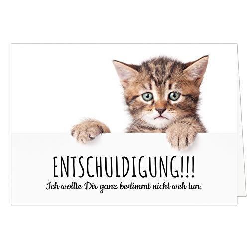 Große XXL (A4) Klappkarte mit Umschlag/Süße Katze - Ich wollte Dir nicht weh tun/Sorry/Entschuldigung/Verzeih mir/Entschuldigen von Einladungskarten Manufaktur Hamburg