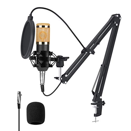 Ejoyous USB Mikrofon Kondensator Microphone Kit, Professioneller Mikrofon Mikrofonständer Kit Mikrofonarm Popschutz mit Anti-Schock-Halterung für Aufnahmen Podcast Rundfunk von Ejoyous
