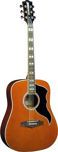 Eko Ranger VI VR Nat Guitars Akustikgitarre Eko Ranger VI VR Nat Guitars Akustikgitarre von Eko