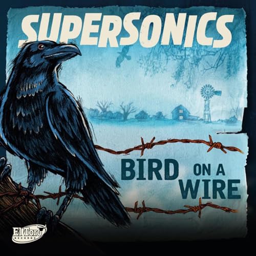 Bird On A Wire von 99999 (Broken Silence)