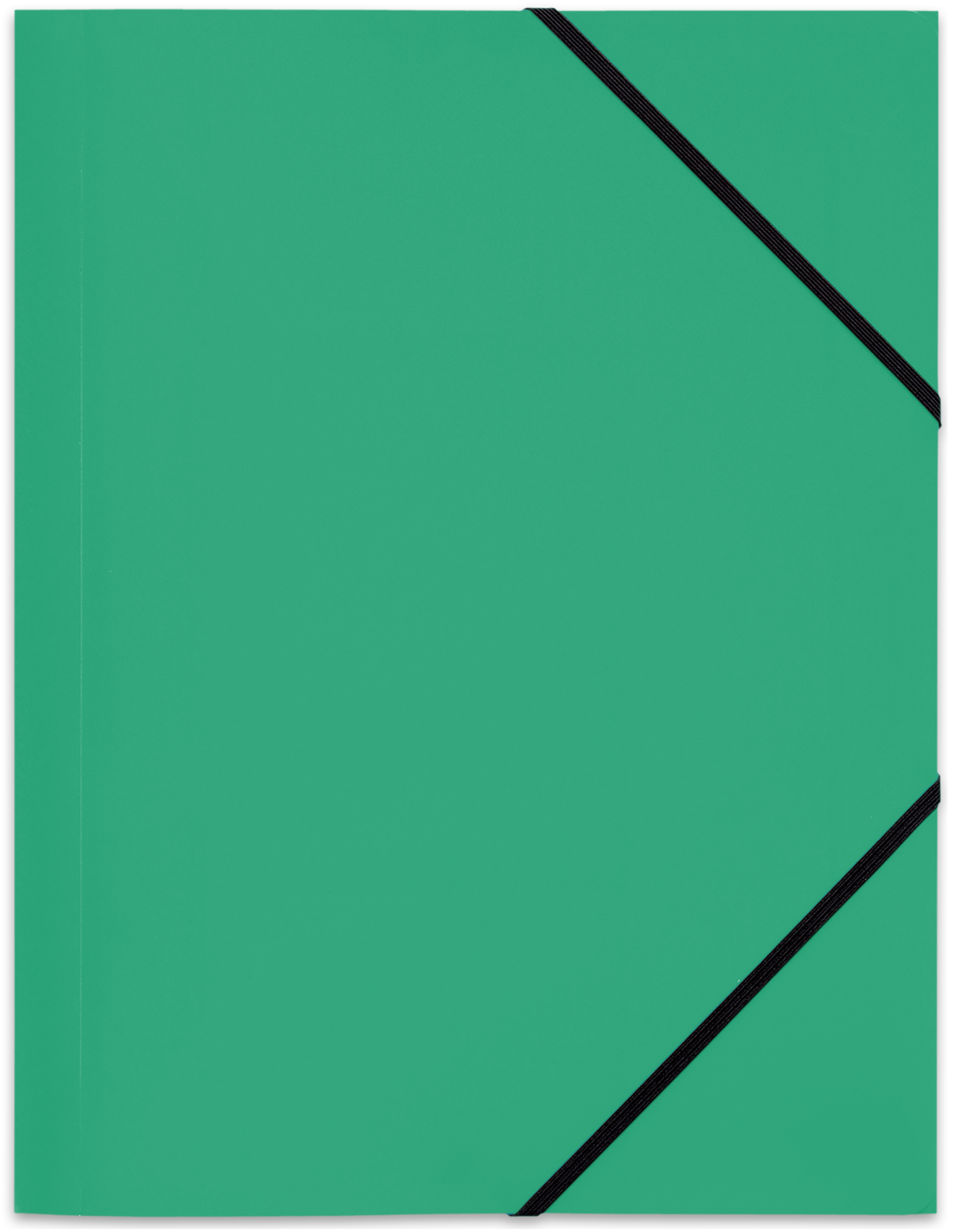 ELBA Eckspannermappe Standard, DIN A4, aus PP, grün von Elba