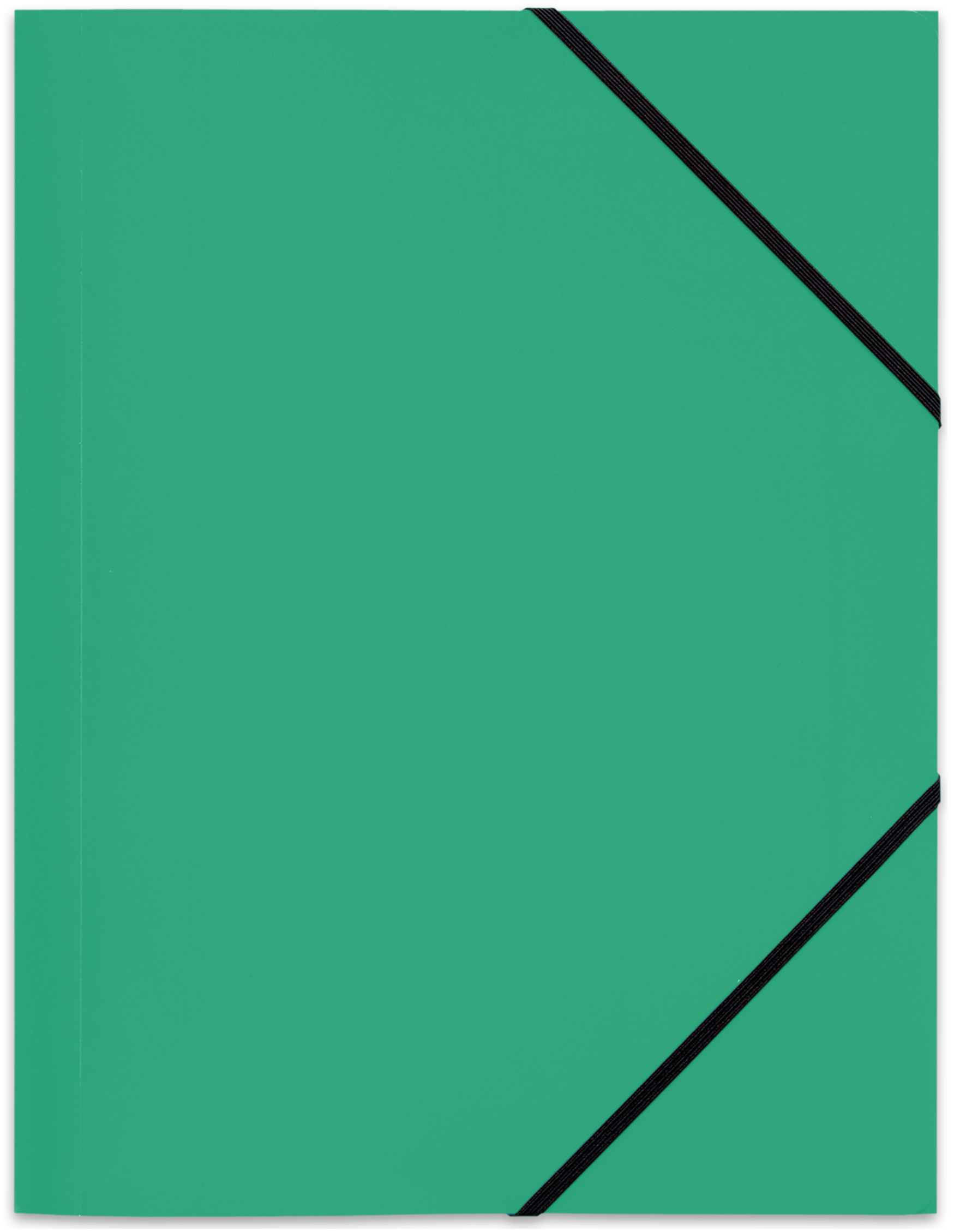 ELBA Eckspannermappe Standard, DIN A4, aus PP, grün ELBA Eckspannermappe Standard, DIN A4, aus PP, grün von Elba
