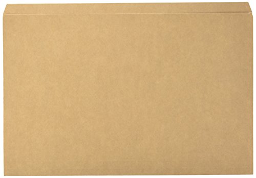 YBARRA 400018771 Box Unterordner Pock Kraft zweifarbig 240G von Elba