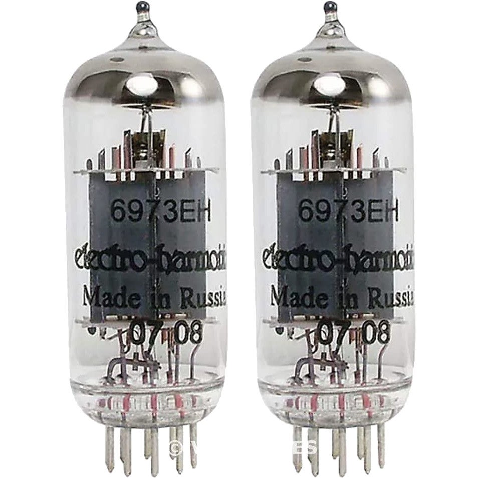 Electro Harmonix 6973 Platinum Matched Power Amp Tubes (Pack of 2) von Electro Harmonix