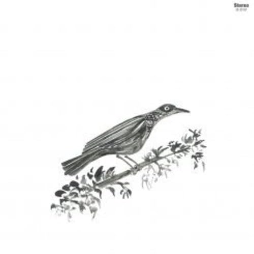 Canto Peregrino [10" VINYL] [Vinyl LP] von Elefant